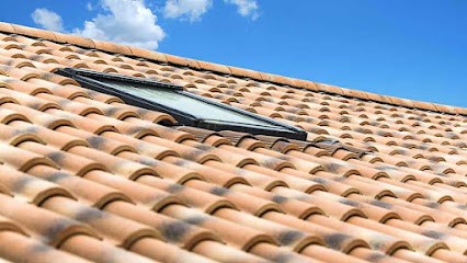 ENTREPRISE BELLOCQ & FILS, Peintre en Bâtiment à Orgueil