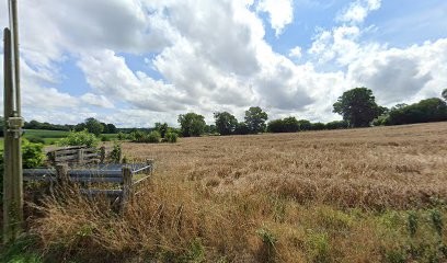 Pichon-Leroy Stéphane, Peintre en Bâtiment à Isigny-le-Buat