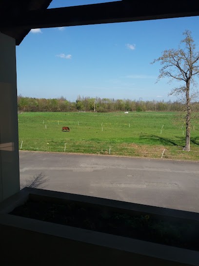 Martin Alain, Peintre en Bâtiment à Cesson-Sévigné