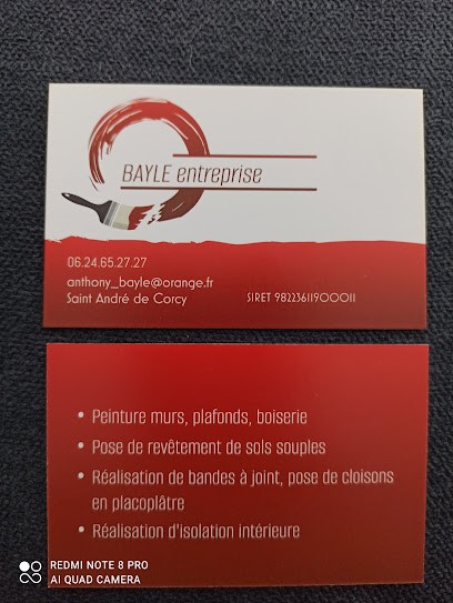 Bayle Plaquiste Peintre, Peintre en Bâtiment à Saint-André-de-Corcy