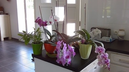 Bouchet Gérard, Peintre en Bâtiment à Sixt-sur-Aff