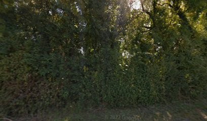 Chanrion Daniel, Peintre en Bâtiment à Saint-Hilaire-la-Forêt