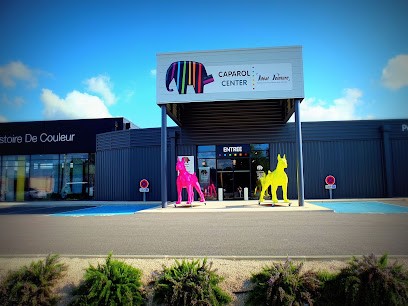 Idéal Peinture - CAPAROL, Magasin de Peintures à Montélimar