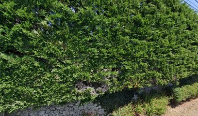 Barreau Gwenael Yves, Peintre en Bâtiment à La Crèche