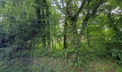 RB Peinture, Peintre en Bâtiment à Grandchamps-des-Fontaines