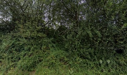 Grama, Peintre en Bâtiment à Saint-Étienne-de-Montluc