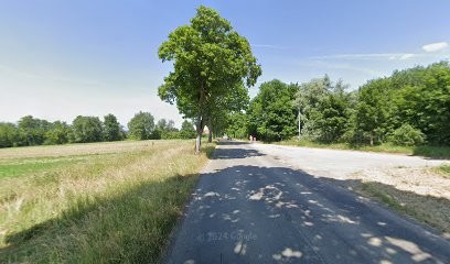 Kaypak SAS, Peintre en Bâtiment à Dannemarie