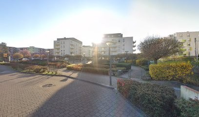 Fredstar, Peintre en Bâtiment à Hoenheim