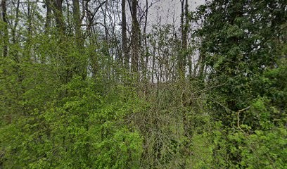 T.G.C DECORATION, Peintre en Bâtiment à Saint-Cyr-en-Val