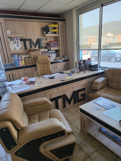 T.M.G PEINTURE, Peintre en Bâtiment à Scionzier