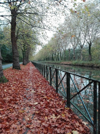Entreprise De Peinture M&M, Peintre en Bâtiment à Dordives