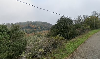 Martel Dominique, Peintre en Bâtiment à Saint-Marcel-d'Ardèche