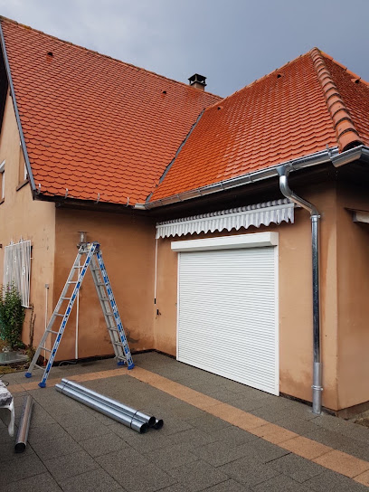 Fleurence Mickael, Peintre à Illzach