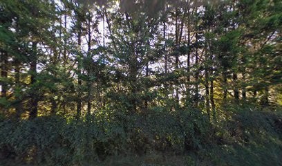 Girault peinture, Peintre en Bâtiment à Marguerittes