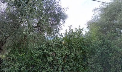 IDEAPAINT, Peintre en Bâtiment à Saint-Jeannet