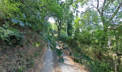 E.G.P Albin PIVATO, Peintre en Bâtiment à Vieille-Toulouse