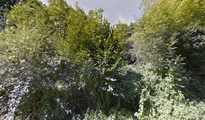 Bayoux Yohan, Peintre en Bâtiment à Chabrac