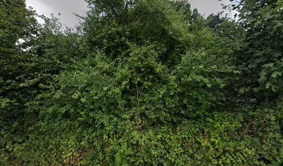 C.j.l Décors, Peintre en Bâtiment au Tréhou