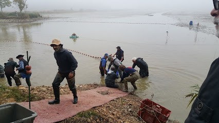 Dos Santos Joaquim, Peintre en Bâtiment à Marlieux