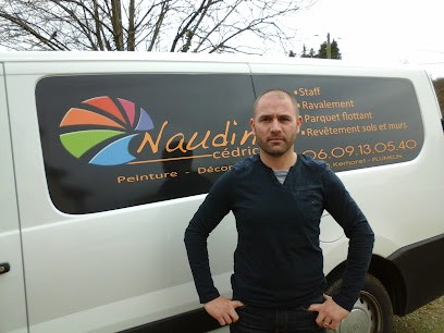 NAUDIN Cédric SARL - Peinture Et Décoration Plumelin, Peintre en Bâtiment à Plumelin