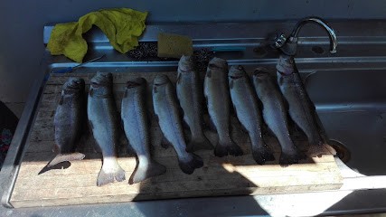 Vedrenne Jean-Louis, Peintre en Bâtiment à Lamonzie-Montastruc