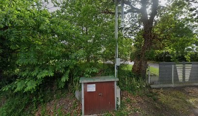 Berthe Jean-Louis, Peintre en Bâtiment à Saint-Molf