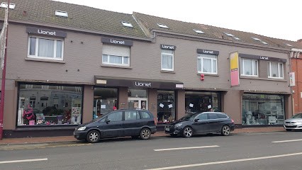 Lionet - Atelier, Peintre en Bâtiment à Caëstre