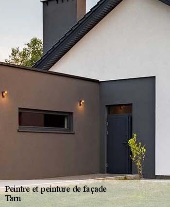 LAGRENEE STEVEN Peinture et Nettoyage, Peintre en Bâtiment à Lavaur