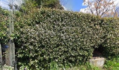 Denis Starck Peintre en bâtiment, Peintre en Bâtiment à Saint-Antonin-du-Var