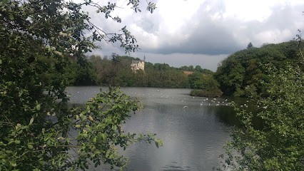 Saen, Peintre en Bâtiment à Concarneau
