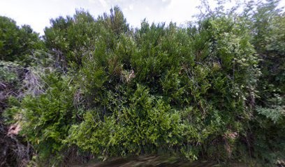 COCHE DESAINDRES RENOVATION INTERIEURE, Peintre en Bâtiment à La Motte-Servolex