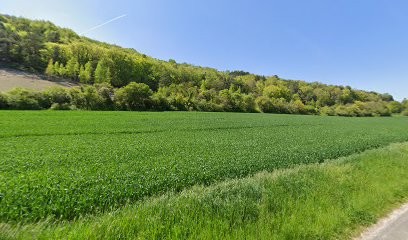 ALLIANCE PEINTURE, Peintre en Bâtiment à Gadencourt