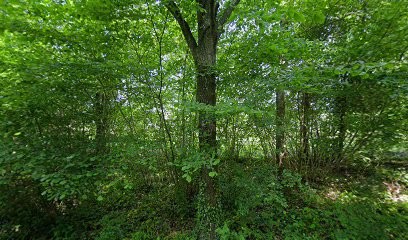 Durand Fabrice, Peintre en Bâtiment à Samoussy