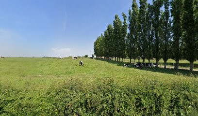 Papin Marie-Jeanne, Peintre en Bâtiment à Darnétal