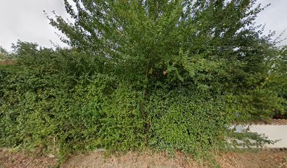 Ibre Jean-Claude, Peintre en Bâtiment à Roquefort