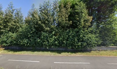 Entreprise Pichon, Peintre en Bâtiment à Saint-Jean-d'Illac