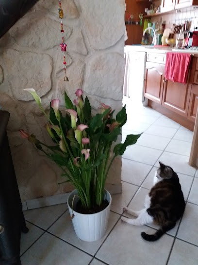 C.C. PEINTURE DECORATION, Peintre en Bâtiment à Sinard