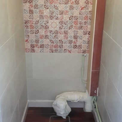 REINHARD SERVICES : PEINTURE ET RAVALEMENT Traitement De Tuiles Et De Façade YVELINES Et 78 92 91 28, Peintre en Bâtiment à Trappes