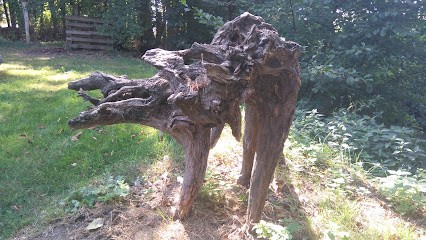 Monnet Yvonne et François, Peintre en Bâtiment à Escurolles