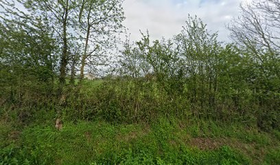 Claude Jean-Luc, Peintre en Bâtiment à Pouillé-les-Côteaux