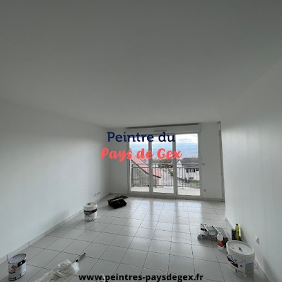 Peintre du Pays de Gex - Service de peinture, Peintre en Bâtiment à Saint-Jean-de-Gonville