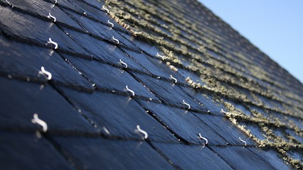 Jfrenov, Peintre en Bâtiment à Merlevenez