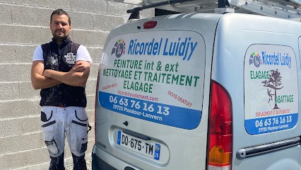 Ricordel Peinture Luidjy, Peintre en Bâtiment à Plonéour-Lanvern