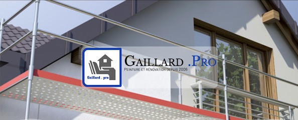 Artisan Gaillard.Pro, Peintre en Bâtiment à Terrasson-Lavilledieu