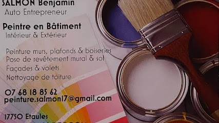 Peintre Benjamin SALMON, Peintre en Bâtiment à Étaules