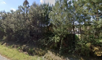 Lalanne Sebastien, Peintre en Bâtiment à Gujan-Mestras