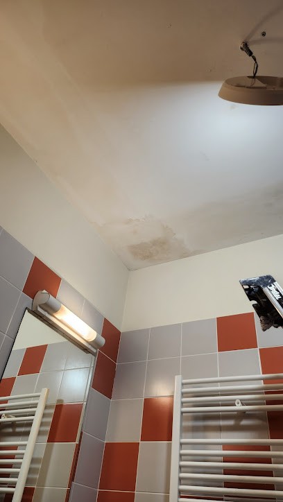 Peinture c.DANIEL, Peintre en Bâtiment à Puyravault