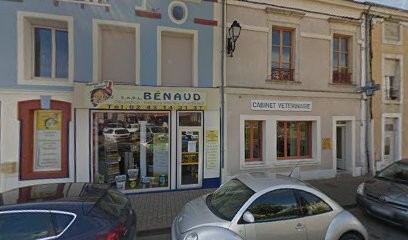 Bénaud Peinture, Peintre en Bâtiment à Sillé-le-Guillaume