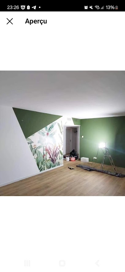 Dinopeinture, Peintre à Nîmes