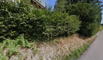 BELFILS PEINTURE, Peintre en Bâtiment à Girmont-Val-d'Ajol